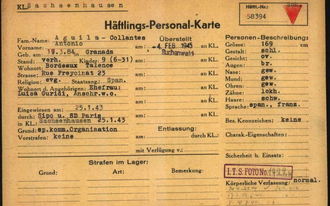 Antonio Águila Collantes